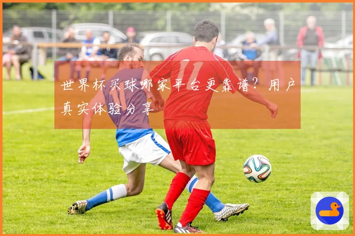 世界杯买球哪家平台更靠谱？用户真实体验分享