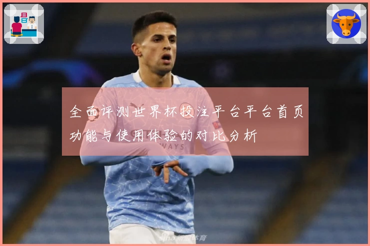 全面评测世界杯投注平台平台首页功能与使用体验的对比分析