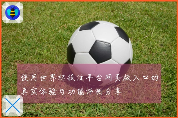 使用世界杯投注平台网页版入口的真实体验与功能评测分享