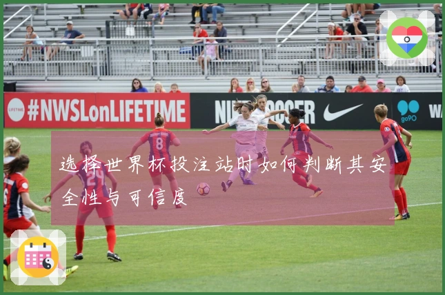 选择世界杯投注站时如何判断其安全性与可信度