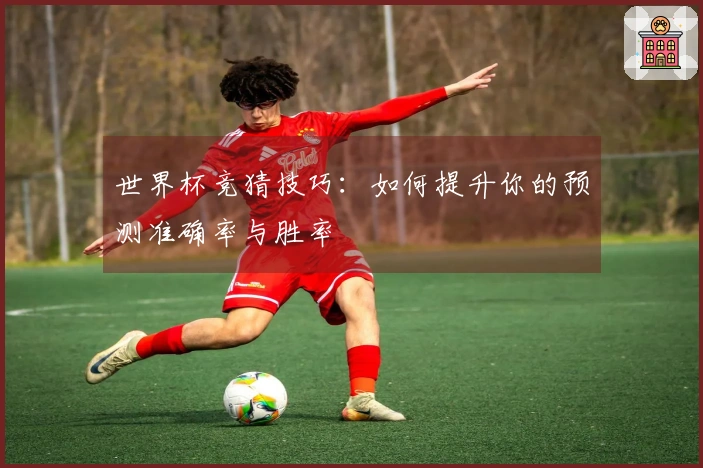 世界杯竞猜技巧:如何提升你的预测准确率与胜率